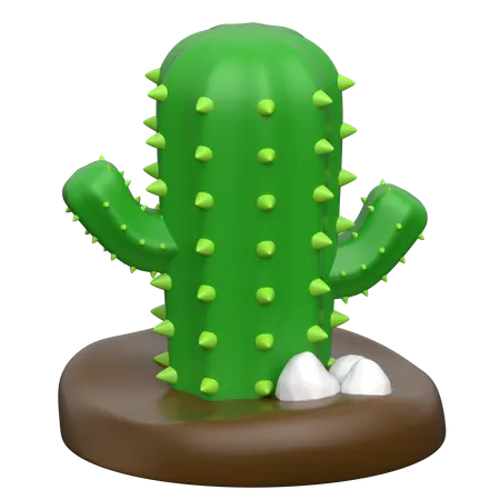 Cactus  3D Icon