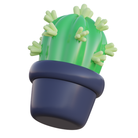 Cactus  3D Icon