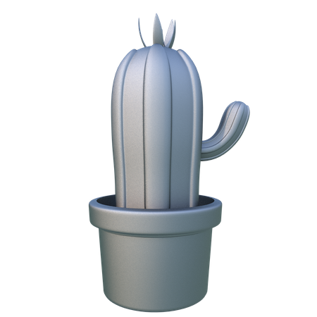 Cactus  3D Icon