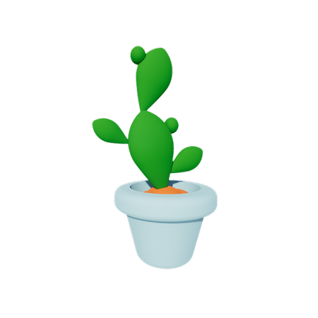 Cactus  3D Icon