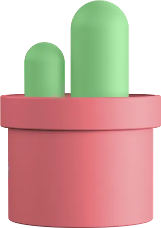 Cactus  3D Illustration