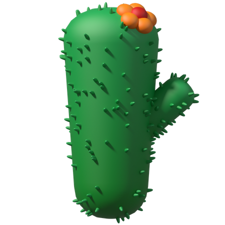 Cactus  3D Illustration