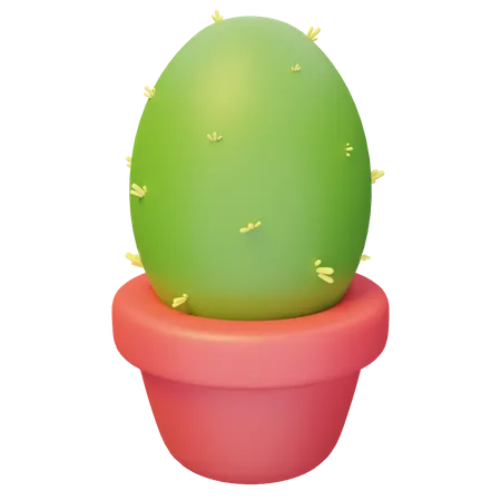 Cactus  3D Illustration