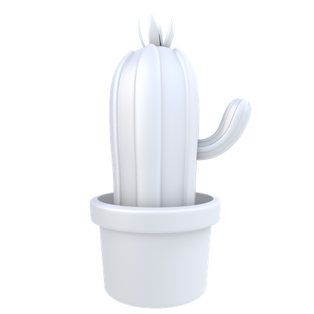 Cactus  3D Illustration