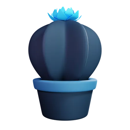 Cactus  3D Illustration