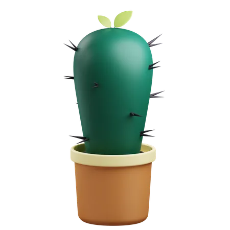3 D Cactus Illustration With Transparent Background 3D Icon