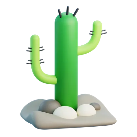 3 D Cactus With Isolated Background 3D Icon
