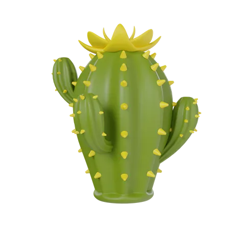 Cactus del desierto  3D Icon