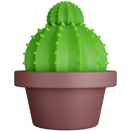 Dos cactus redondos  3D Icon