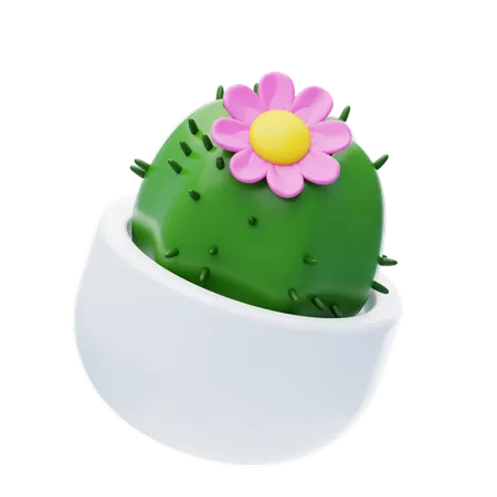 Cactus Flower  3D Icon