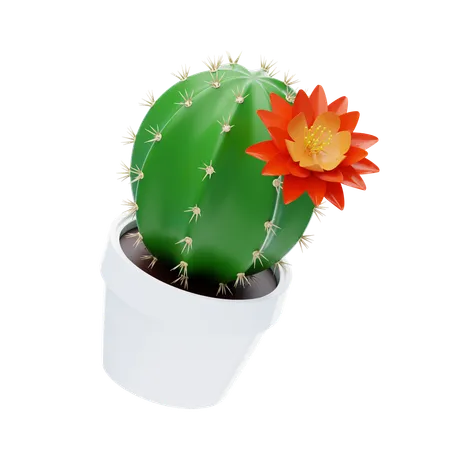 Cactus Flower  3D Icon