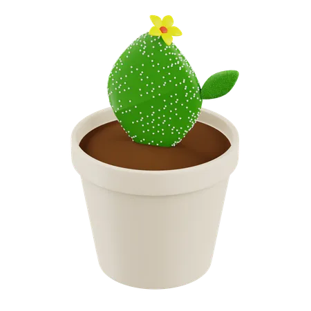 Cactus Flower Plant  3D Icon