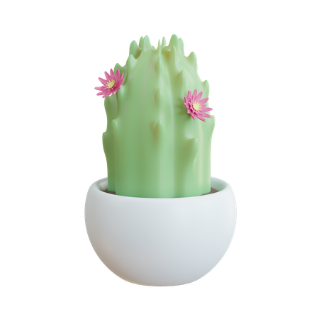 Cactus Flower Pot  3D Icon
