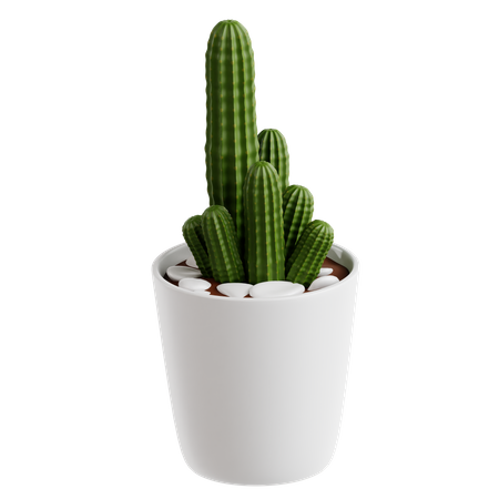 Cactus de maní  3D Icon