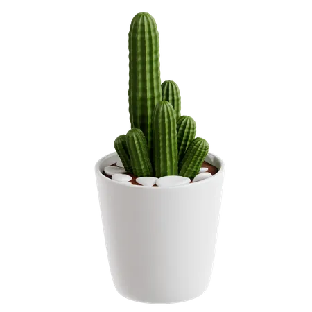 Cactus de maní  3D Icon