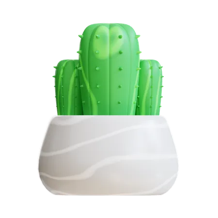 3 D Icon Cactus Plant 3D Icon