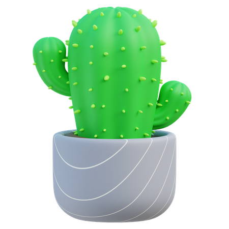 Cactus Plant  3D Icon