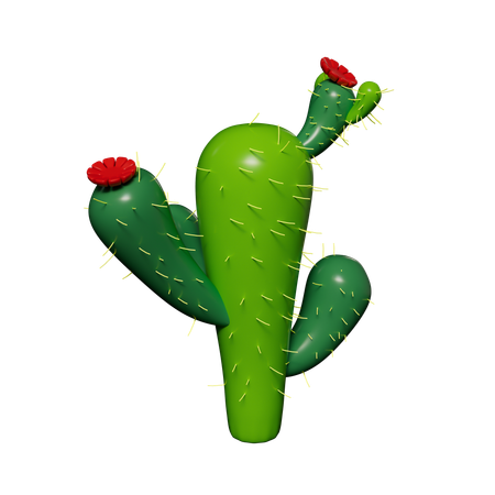 Cactus Plant  3D Icon