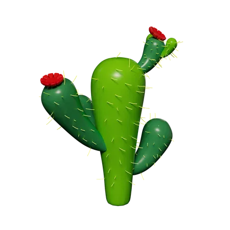 Cactus Plant  3D Icon