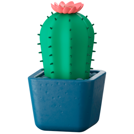 Cactus Plant  3D Icon