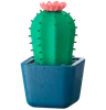 Cactus Plant