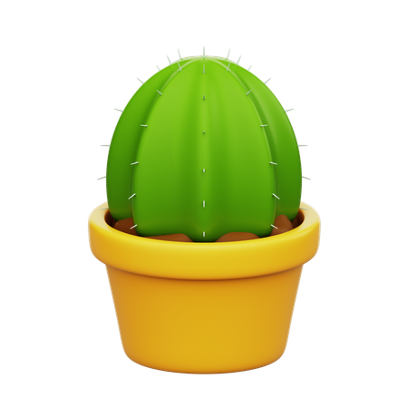 Cactus Plant  3D Icon