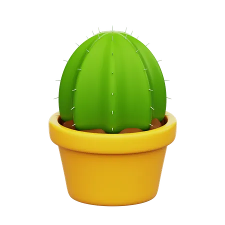 Cactus Plant  3D Icon