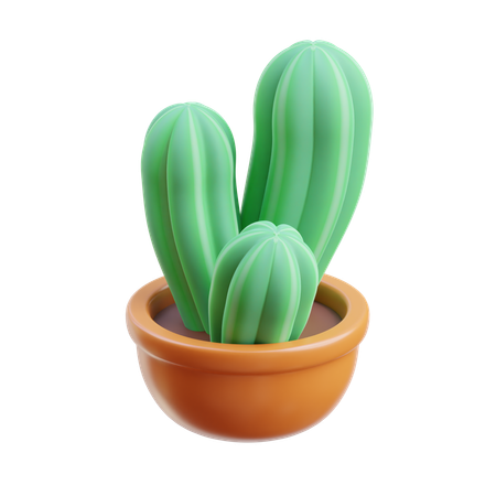 Cactus Plant  3D Icon