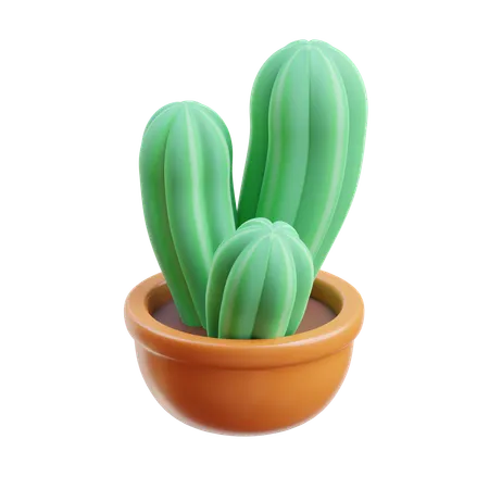 Cactus Plant  3D Icon