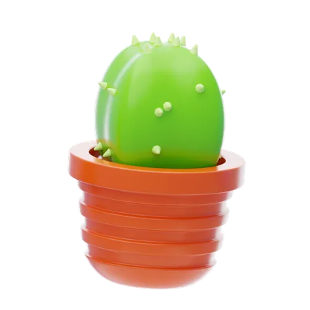 Cactus Plant  3D Icon