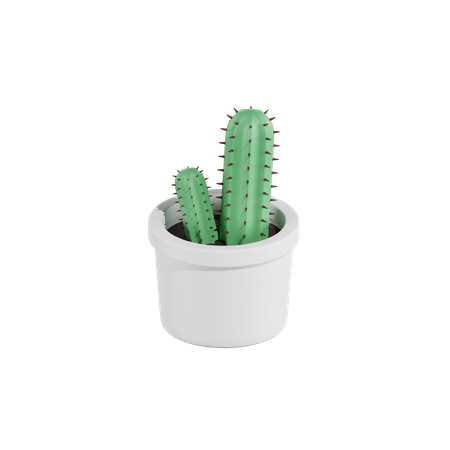 Cactus Plant  3D Icon