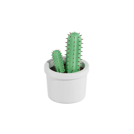 Cactus Plant  3D Icon