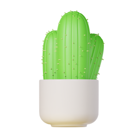 Cactus Plant  3D Icon