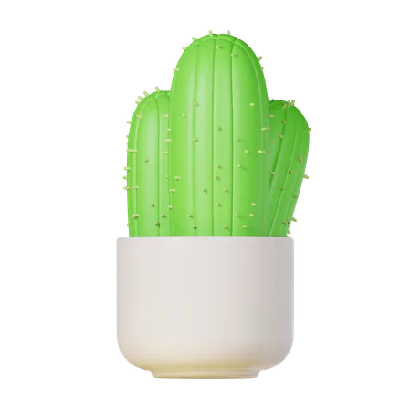 Cactus Plant  3D Icon