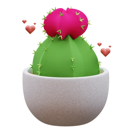 Cactus Plant  3D Icon