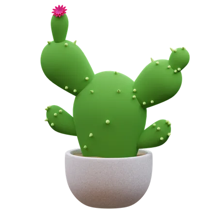 Cactus Plant  3D Icon