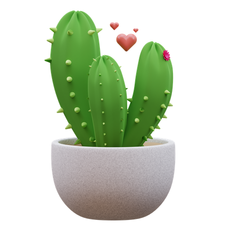 Cactus Plant  3D Icon