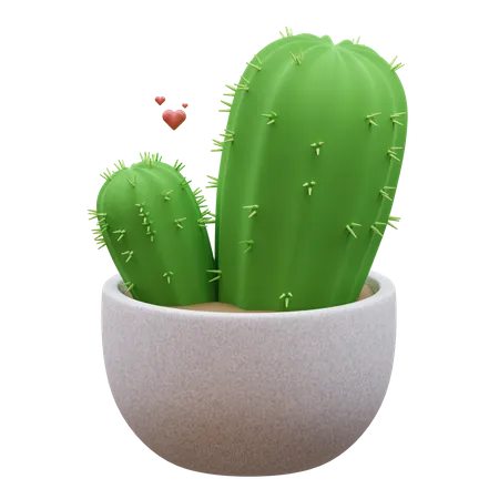 Cactus Plant  3D Icon