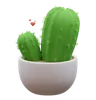 Cactus Plant