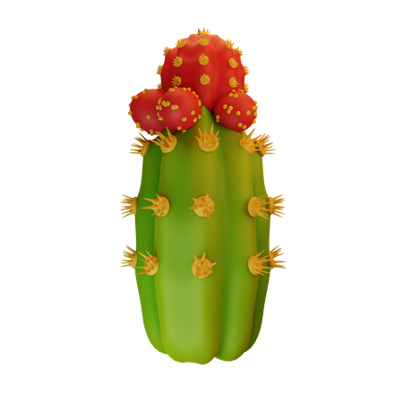 Cactus Plant  3D Icon