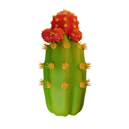 Cactus Plant  3D Icon