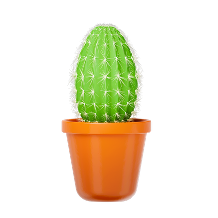 Cactus Plant  3D Icon