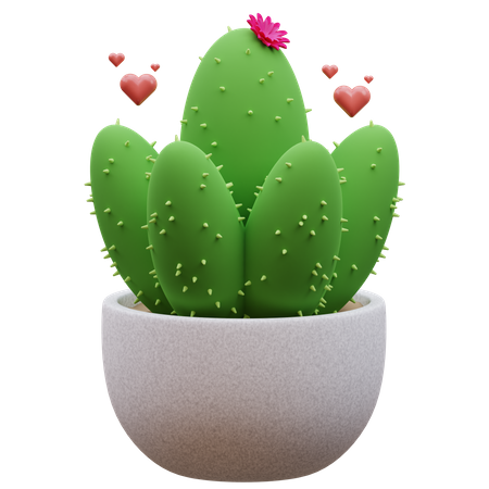 Cactus Plant  3D Icon