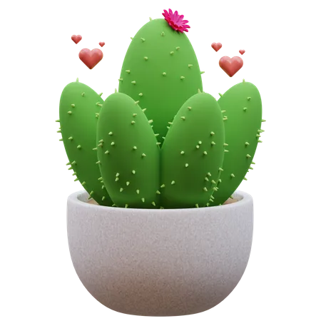 Cactus Plant  3D Icon