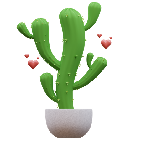 Cactus Plant  3D Icon