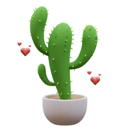 Cactus Plant  3D Icon