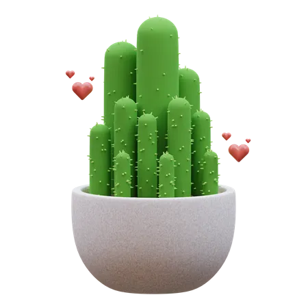 Cactus Plant  3D Icon