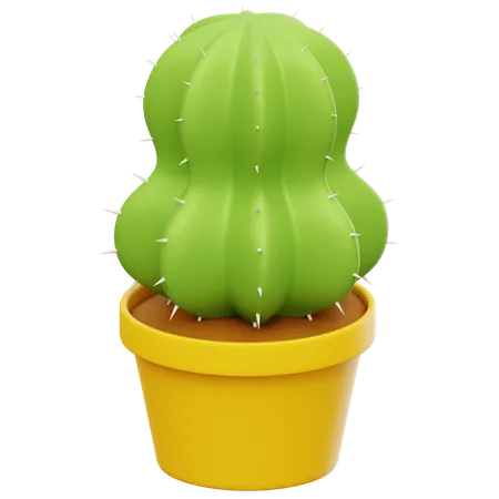 Cactus Plant  3D Icon