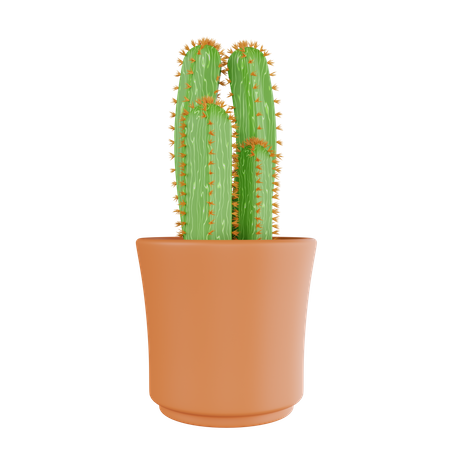 Cactus Plant  3D Icon