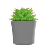 Cactus Plant